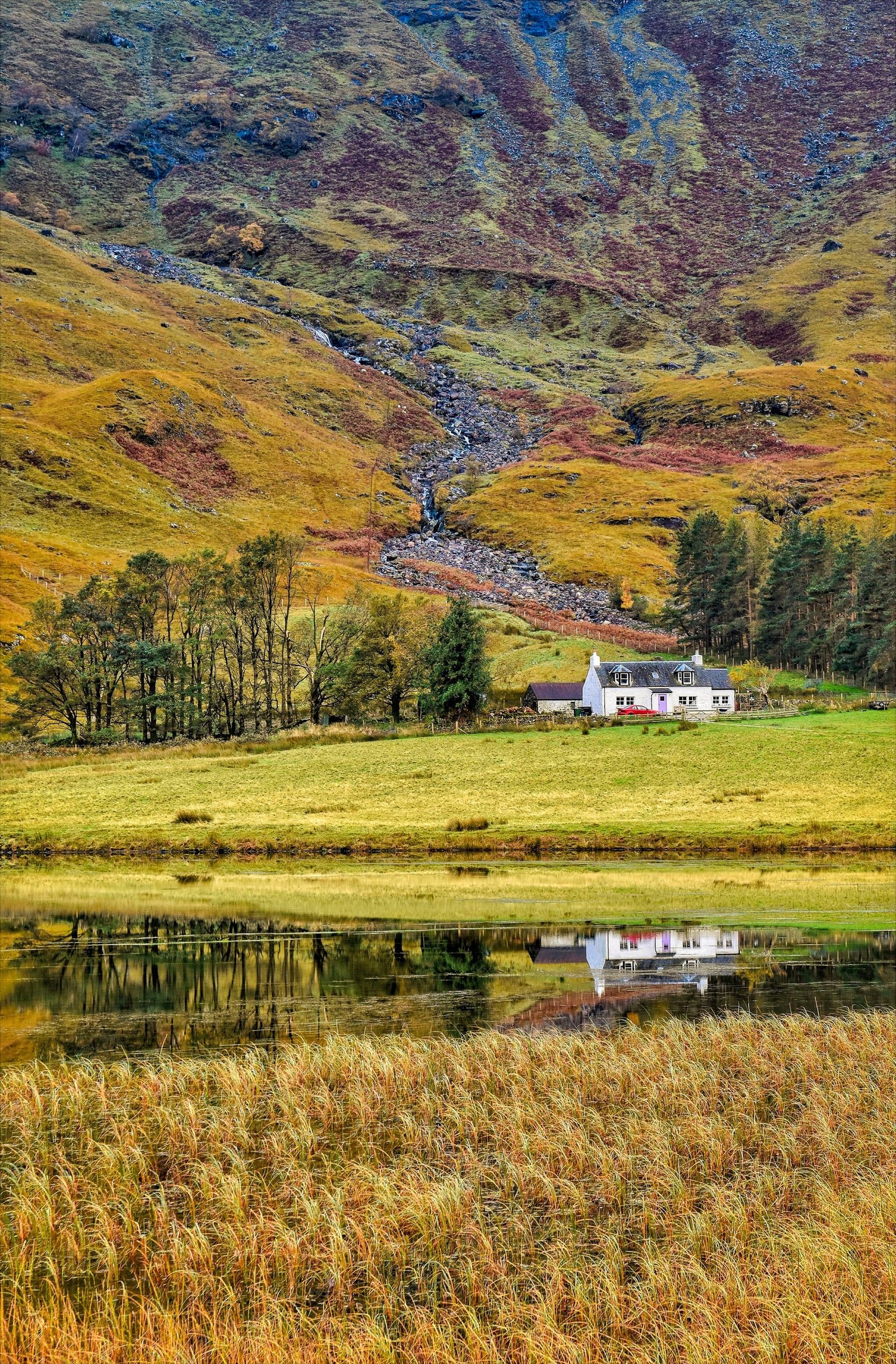 The white cottage in Glencoe with the glen rising behind it